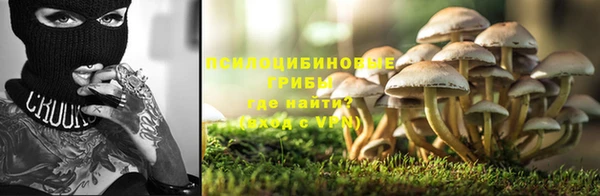 гидропоника Горно-Алтайск