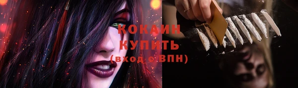 бошки Горняк