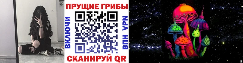 Купить закладки  Сковородино  Псилоцибиновые грибы Psilocybine cubensis 